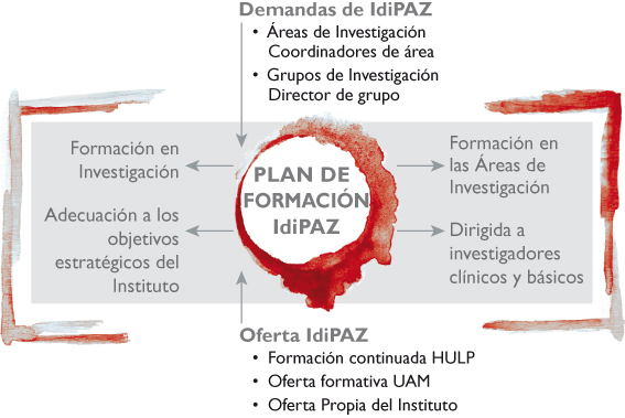 Esquema formación IdiPAZ