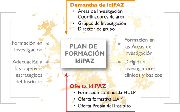 Esquema formación IdiPAZ