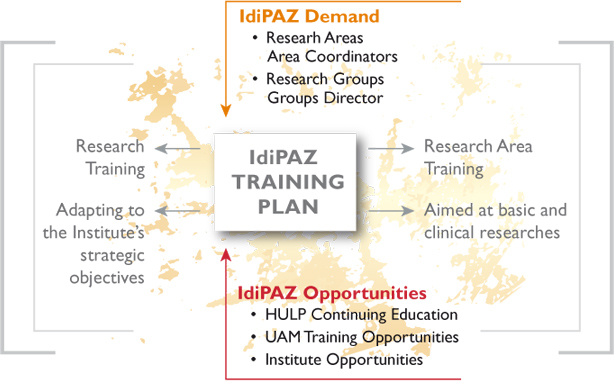 Esquema formación IdiPAZ