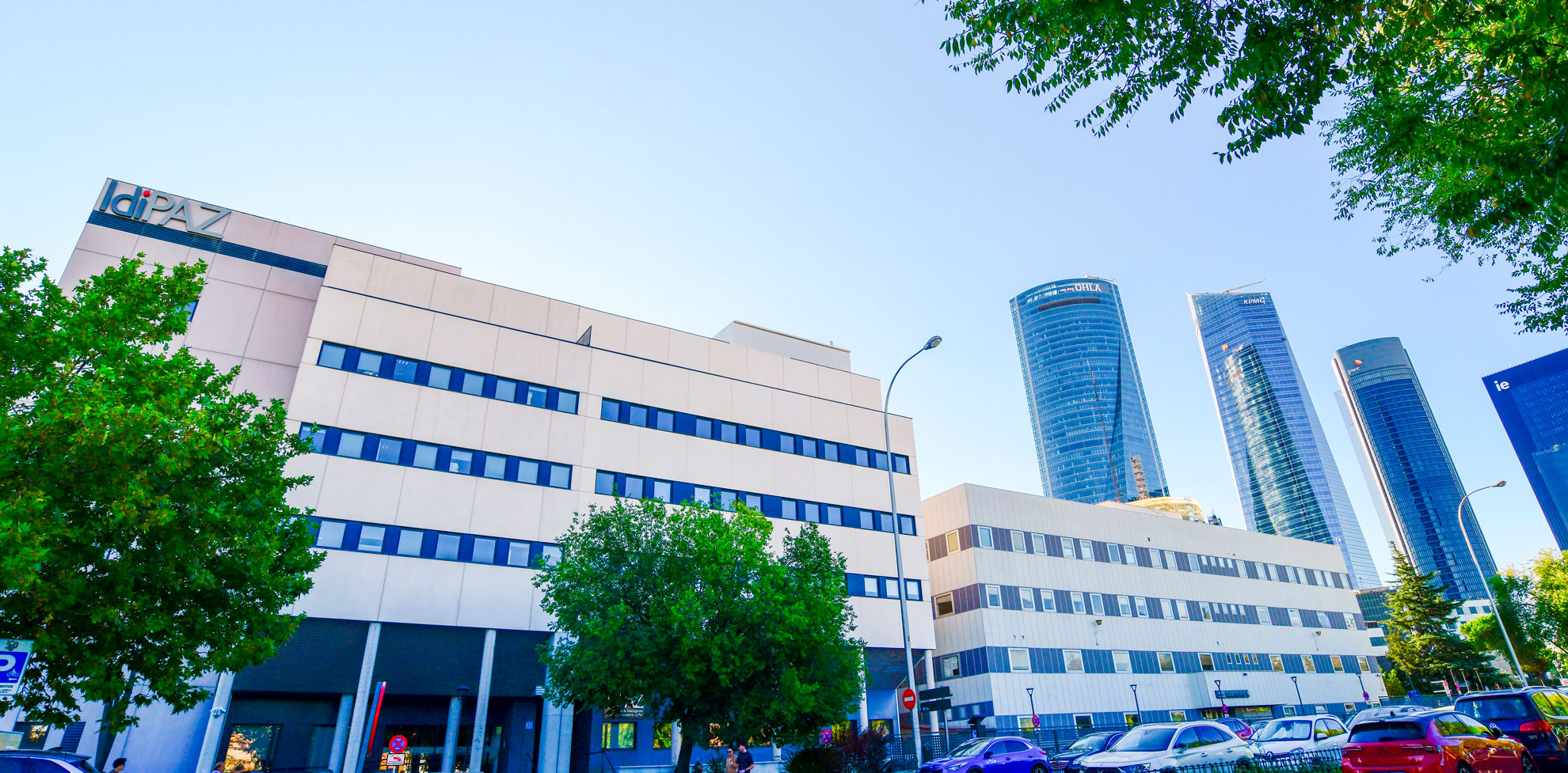 Áreas estratégicas IdiPAZ